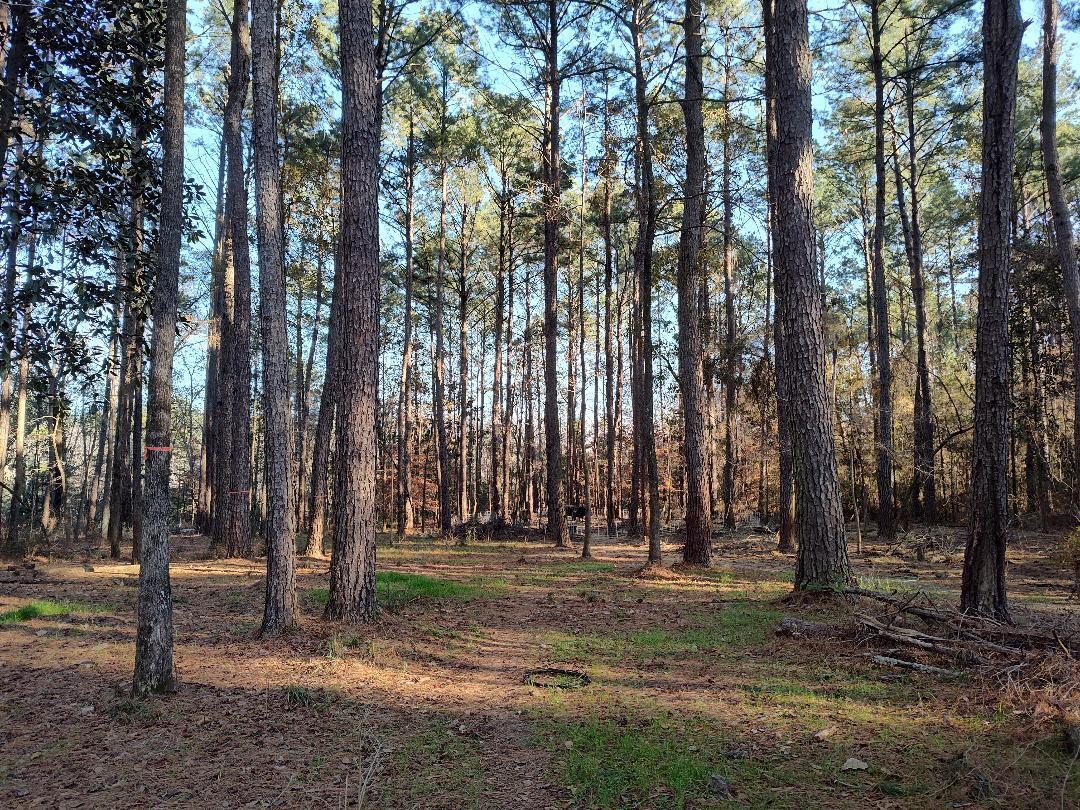 600 Jasper Floyd Road Ponce de Leon, FL 32455 - Photo 16 of 27 a view of park space