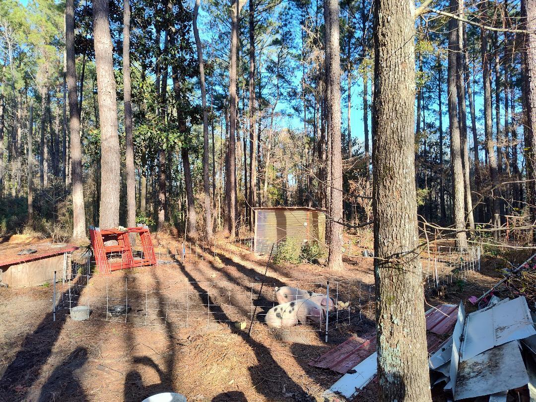 600 Jasper Floyd Road Ponce de Leon, FL 32455 - Photo 17 of 27