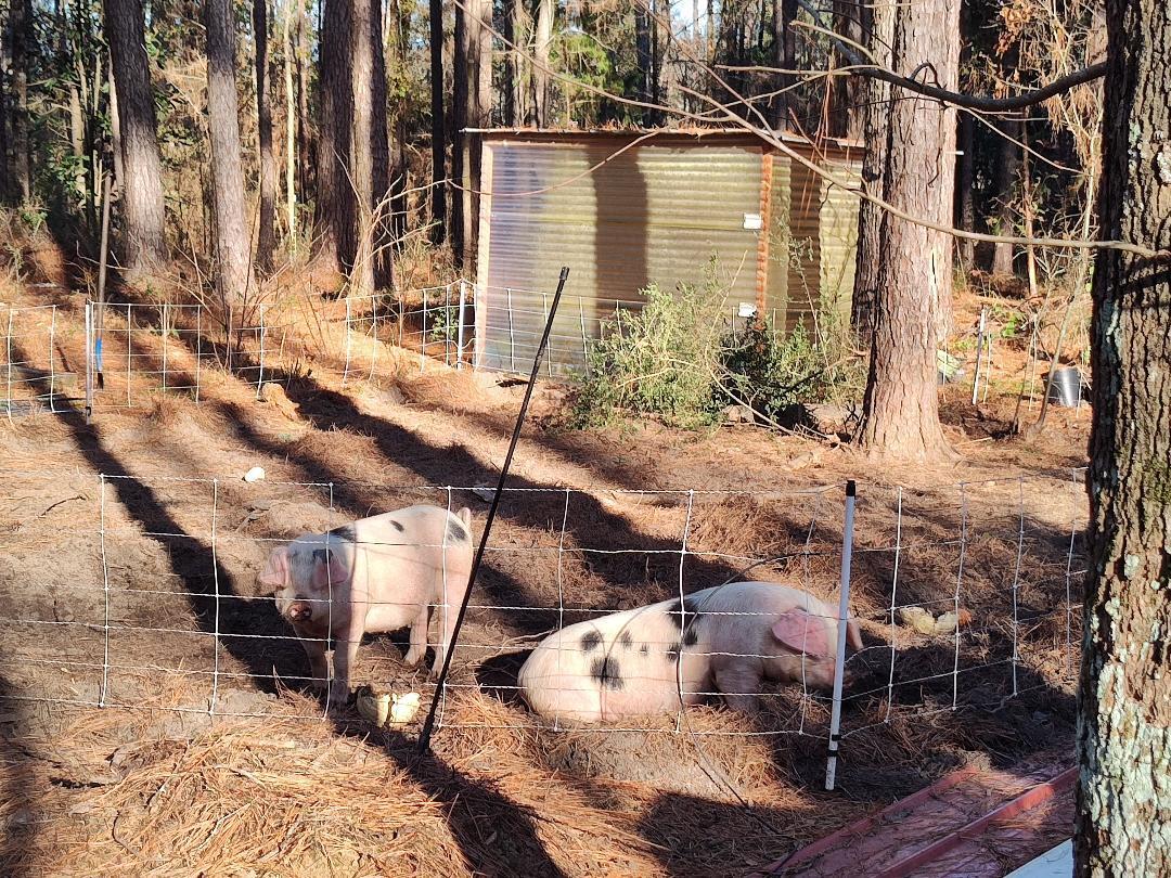 600 Jasper Floyd Road Ponce de Leon, FL 32455 - Photo 19 of 27 a front view of a house with a yard