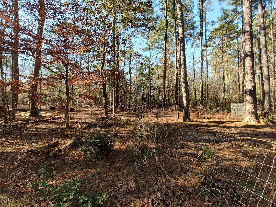 600 Jasper Floyd Road Ponce de Leon, FL 32455 - Photo 21 of 27 a view of outdoor space with trees