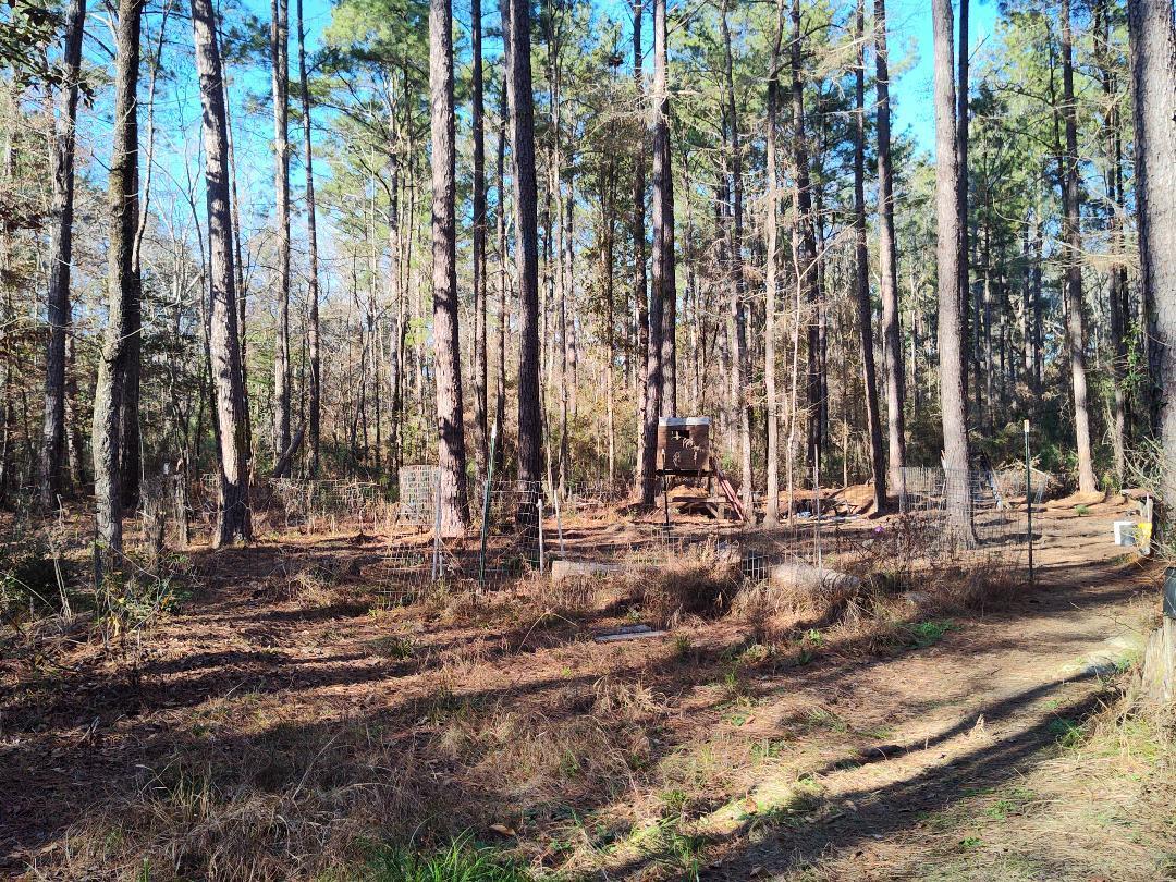 600 Jasper Floyd Road Ponce de Leon, FL 32455 - Photo 23 of 27 a view of a backyard with large trees
