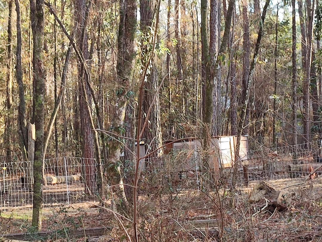 600 Jasper Floyd Road Ponce de Leon, FL 32455 - Photo 24 of 27 a backyard of a house with lots of green space