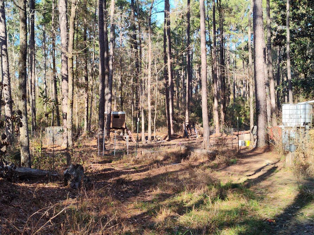 600 Jasper Floyd Road Ponce de Leon, FL 32455 - Photo 25 of 27