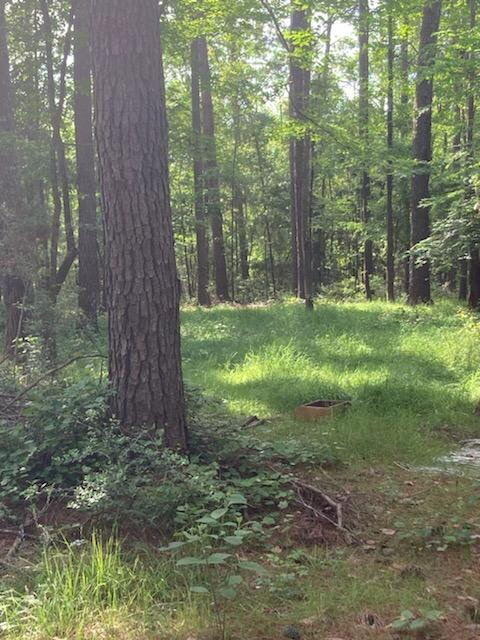 600 Jasper Floyd Road Ponce de Leon, FL 32455 - Photo 27 of 27 a view of a forest with trees
