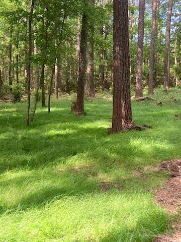 600 Jasper Floyd Road Ponce de Leon, FL 32455 - Photo 4 of 27 a view of a trees with a yard