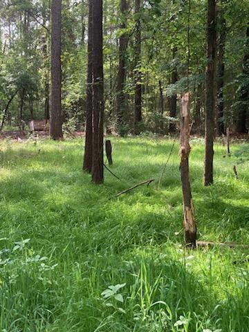 600 Jasper Floyd Road Ponce de Leon, FL 32455 - Photo 9 of 27 a view of outdoor space with a garden and trees