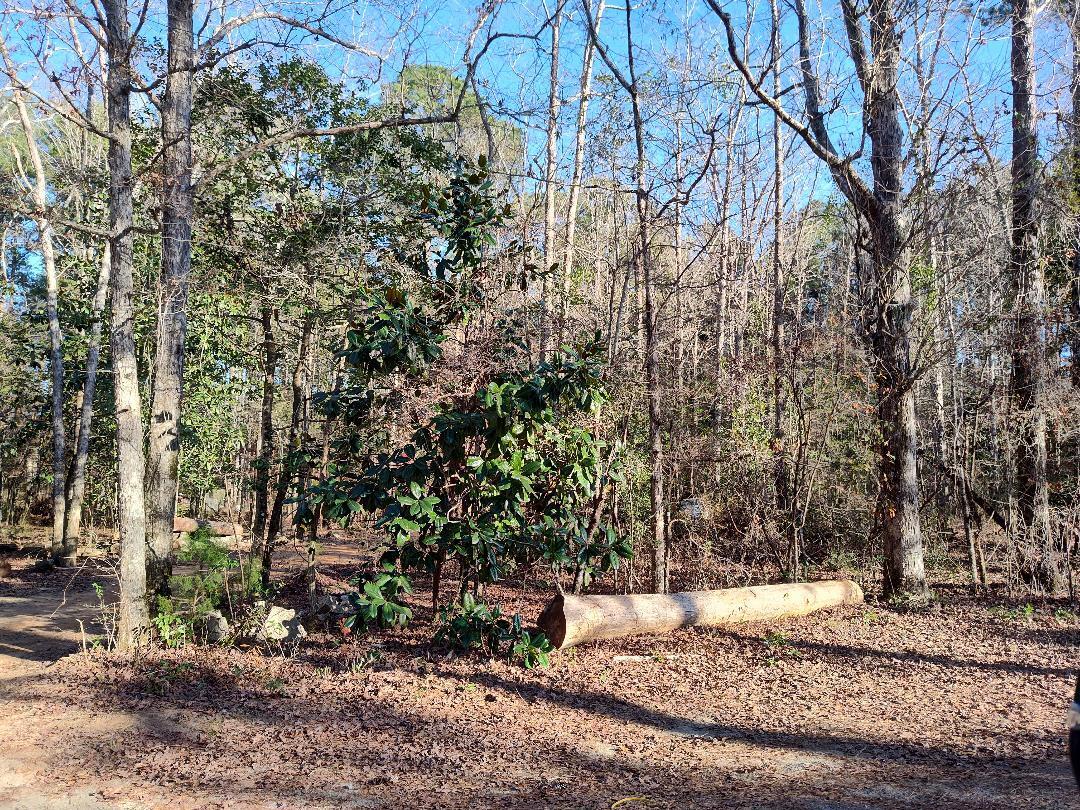 600 Jasper Floyd Road Ponce de Leon, FL 32455 - Photo 10 of 27 a view of a backyard of the house