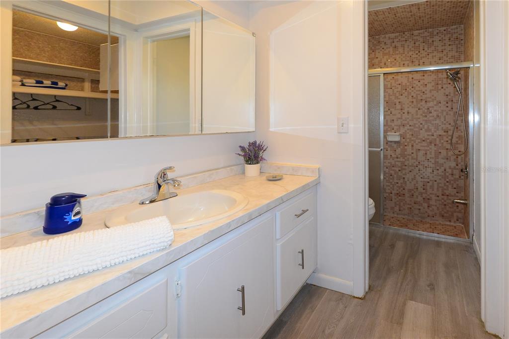 124 Caddy Road Rotonda West, FL 33947 - Photo 26 of 41 a bathroom with a sink and a mirror