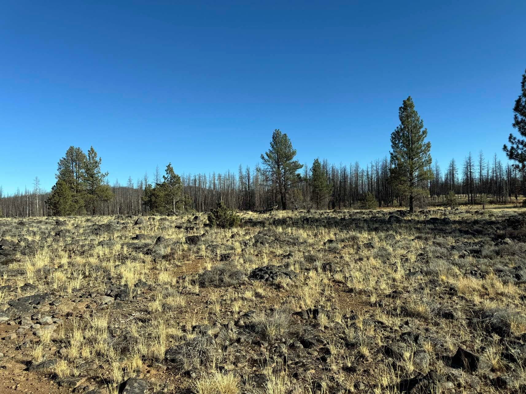 Bull Pine Road, Unit 500 400 300 Beatty, OR 97621 - Photo 45 of 49 IMG_4230