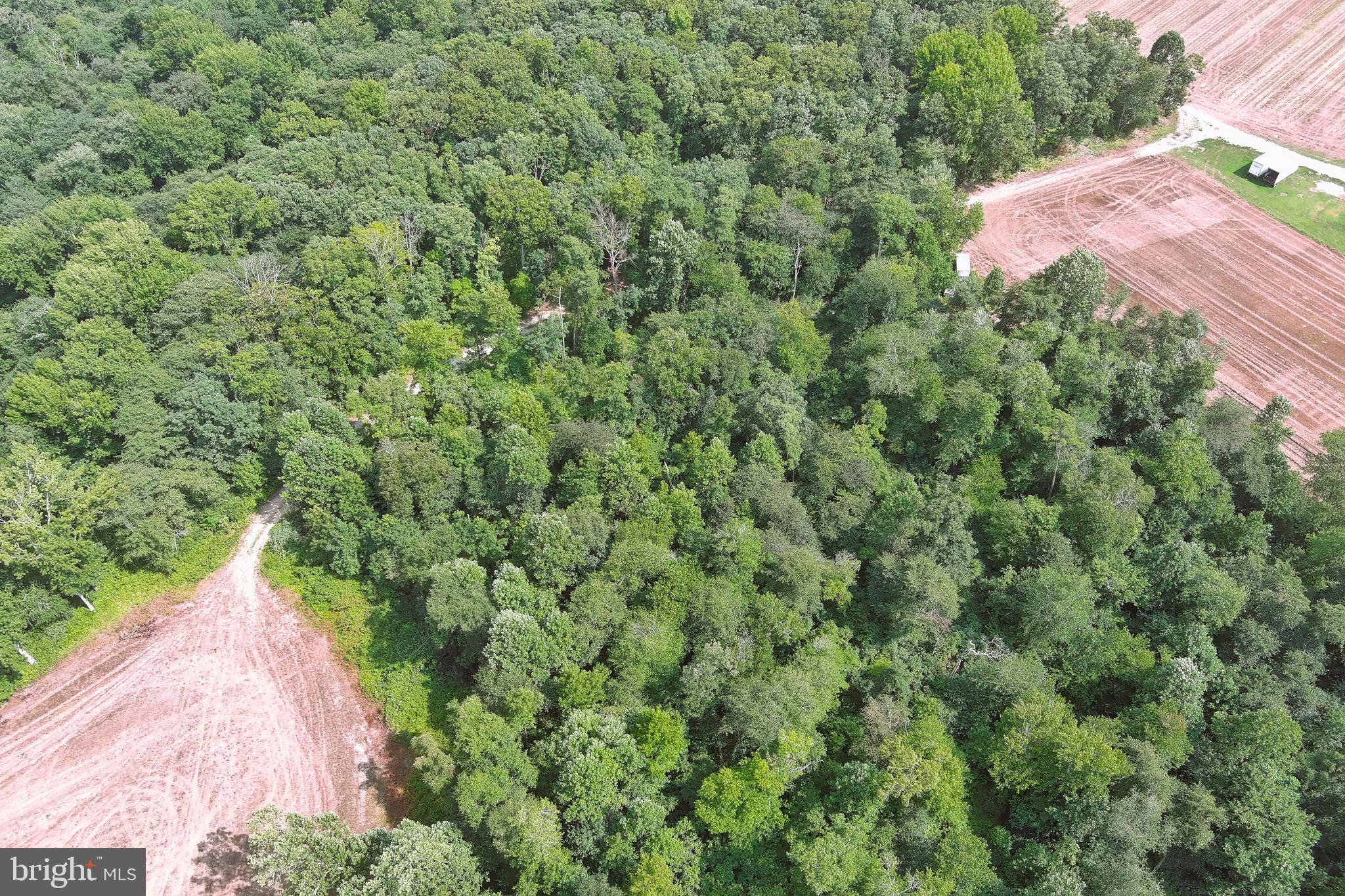 770 Clems Run Glassboro, NJ 08028 - Photo 16 of 25