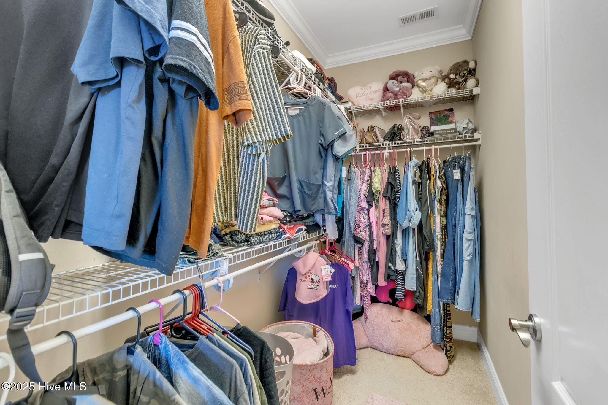 124 Gallery Drive, Unit 302 Spring Lake, NC 28390 - Photo 20 of 32 Walk in Closet