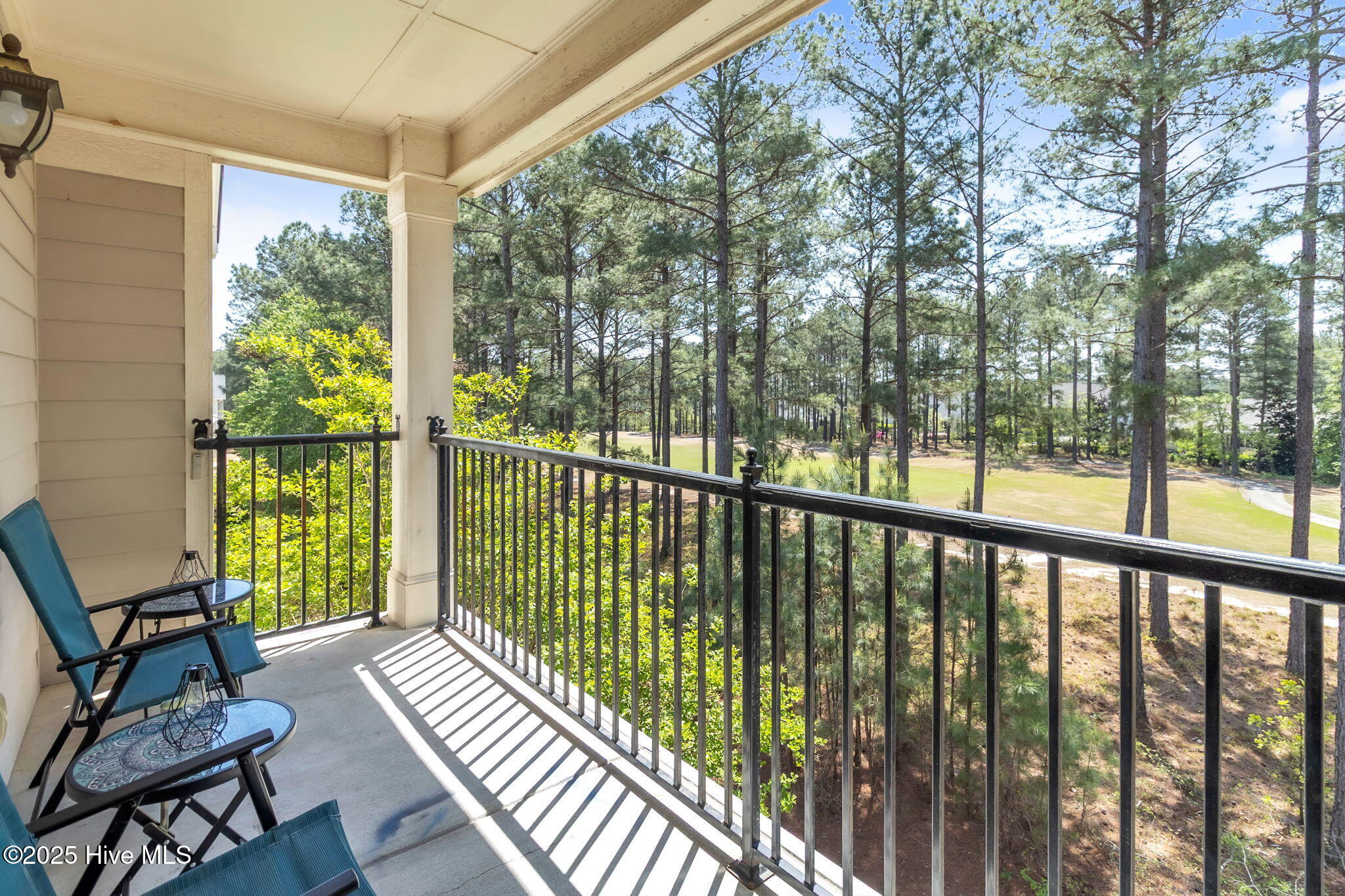124 Gallery Drive, Unit 302 Spring Lake, NC 28390 - Photo 27 of 32 Balcony