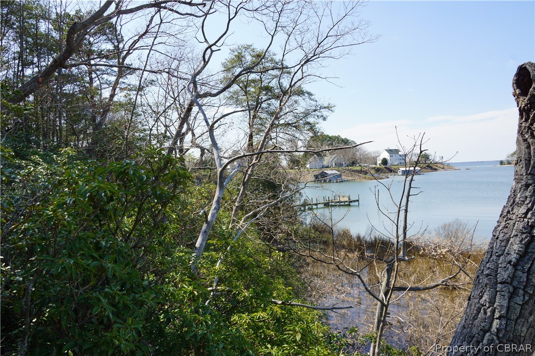 0 Spring Cove Lane Topping, VA 23169 - Photo 4 of 9