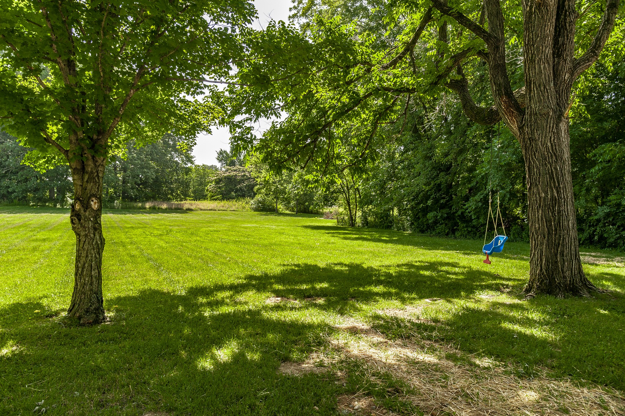 4751 Highway 431 Springfield, TN 37172 - Photo 12 of 51 Gallery Image 12