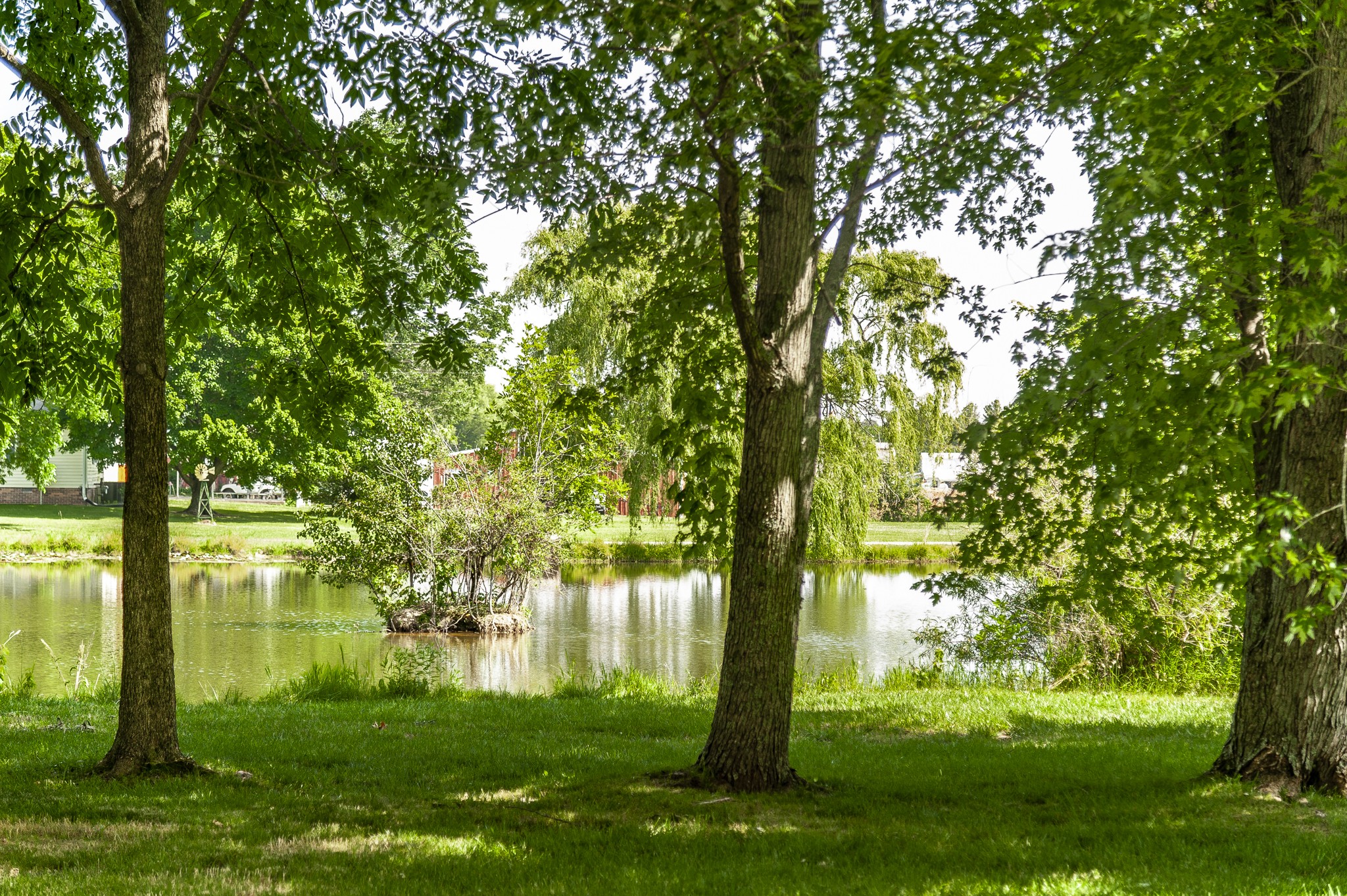 4751 Highway 431 Springfield, TN 37172 - Photo 14 of 51 Gallery Image 14