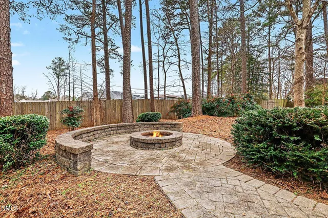 a view of backyard with green space