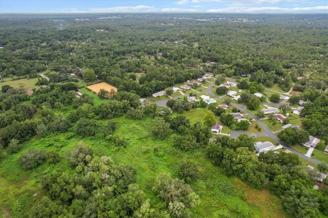 a view of a city with lush green forest