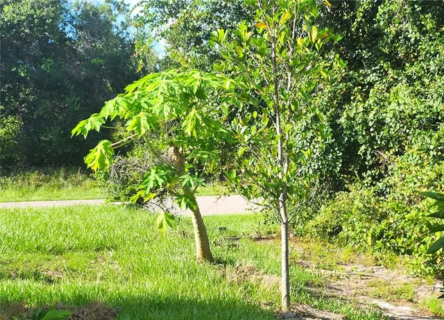 $289,900 | 22507 Provance Avenue, Port Charlotte, FL 33954