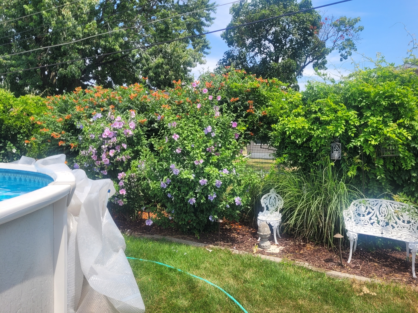 18439 Locust Street Lansing, IL 60438 - Photo 34 of 38