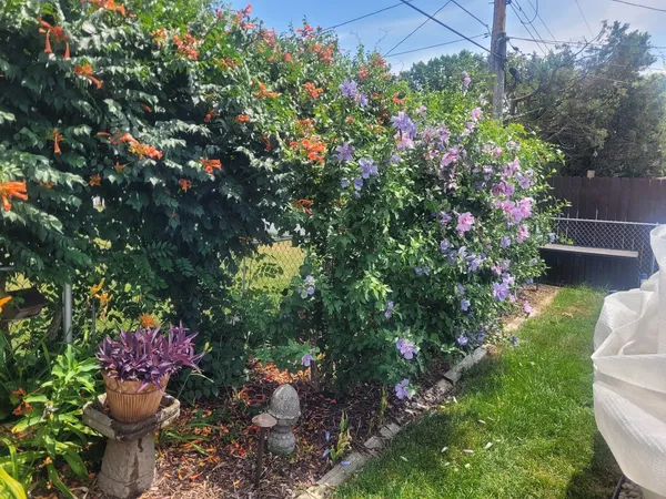 $389,900 | 18439 Locust Street, Lansing, IL 60438