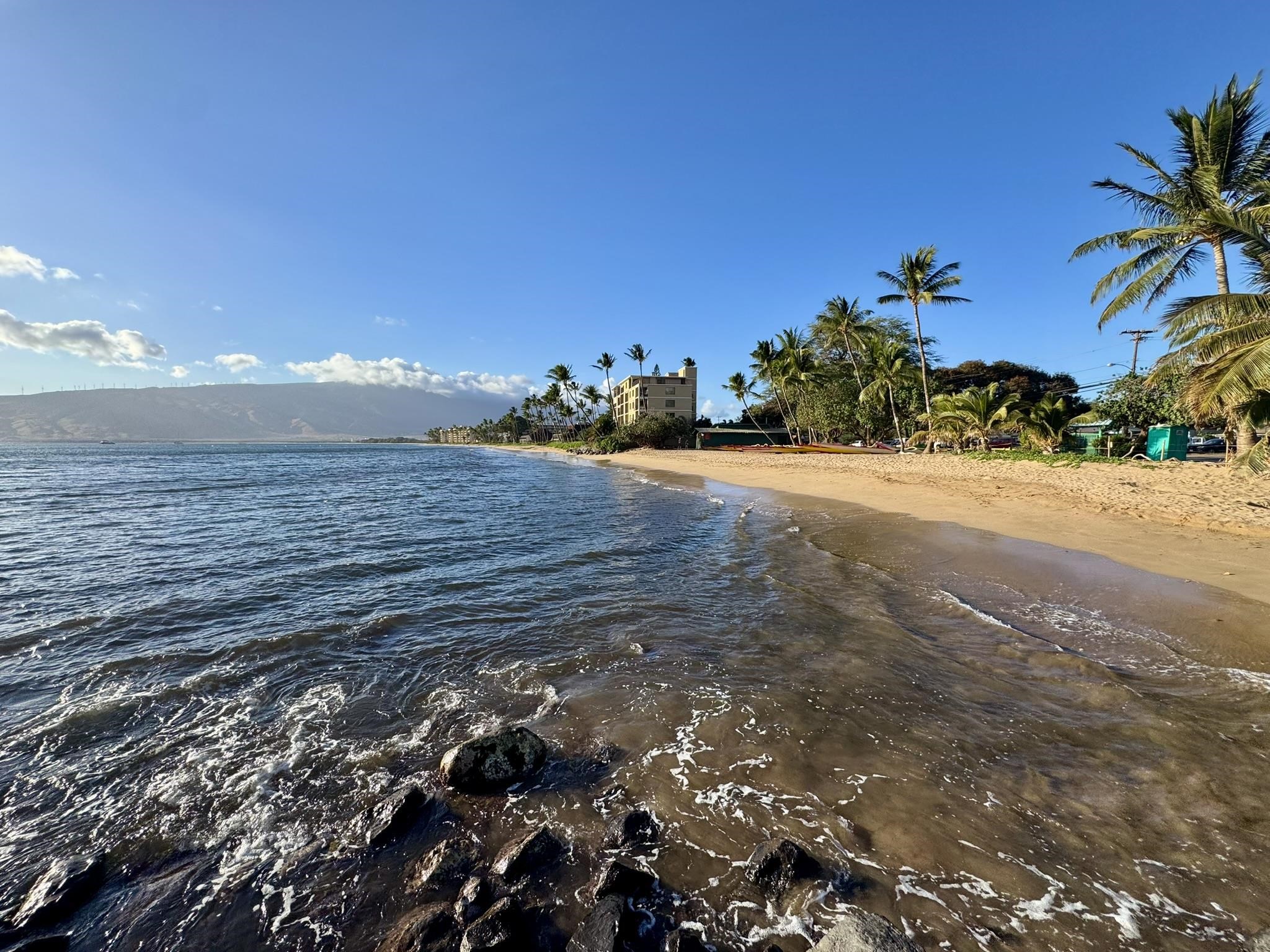 140 Uwapo Road, Unit 56204 Kihei, HI 96753 - Photo 39 of 40 a view of a lake from a yard