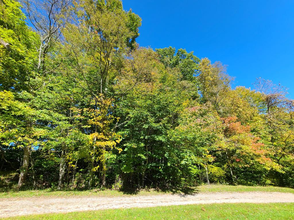 Tbd Whitetop Road Whitetop, VA 24292 - Photo 23 of 23 Gallery Image 23