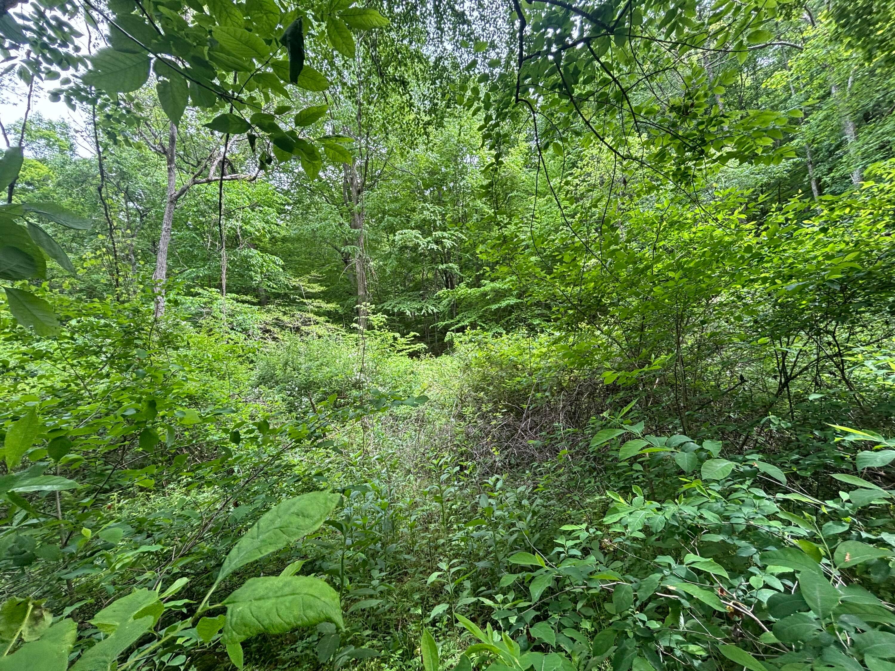 31551 Bensonhaver Road Logan, OH 43138 - Photo 9 of 9 IMG_8505 2