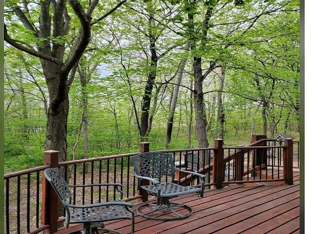 58754 415th Avenue Mazeppa, MN 55956 - Photo 3 of 13