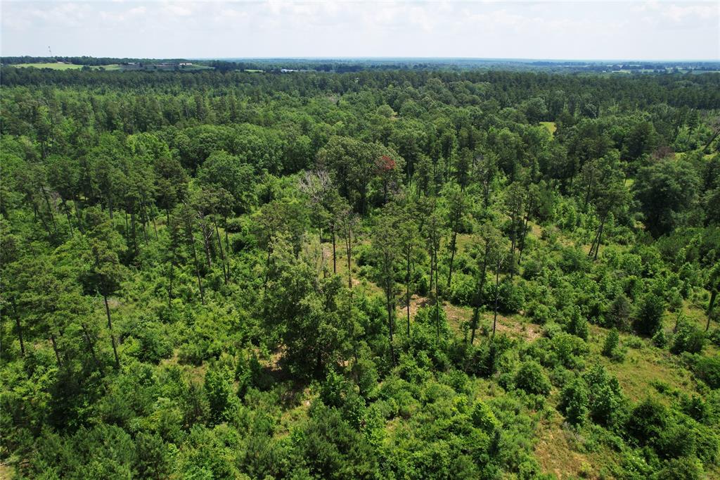 3 County Road 364 South  