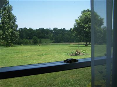112 Pacer Road Wilmore, KY 40390 - Photo 65 of 77 Photo 65