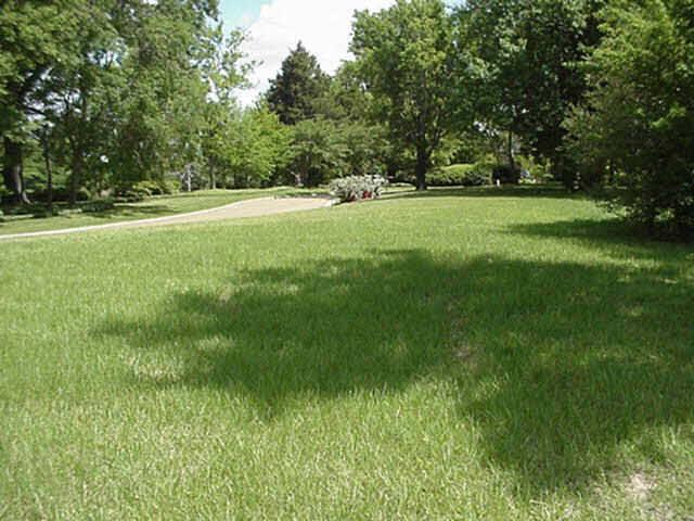 0 Bridgewater Crossing, Unit LOT 3 Ridgeland, MS 39157 - Photo 3 of 4 Photo 3