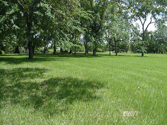 0 Bridgewater Crossing, Unit LOT 3 Ridgeland, MS 39157 - Photo 4 of 4 Photo 4