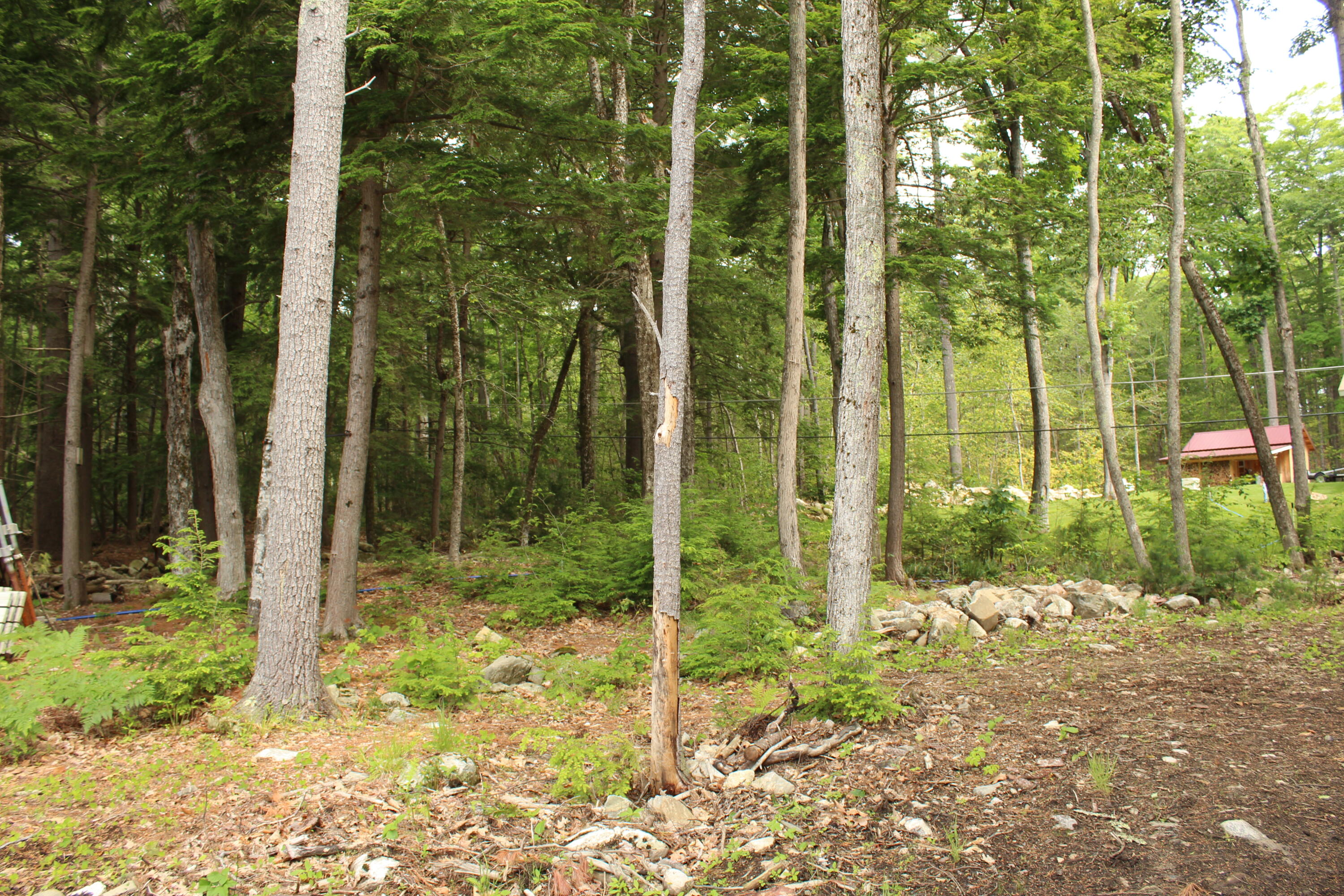 166 Wilkins Road Acton, ME 04001 - Photo 23 of 49 IMG_8097