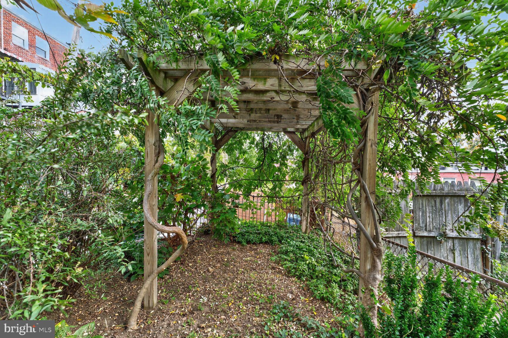 3910 R Street Southeast Washington, DC 20020 - Photo 21 of 24 Lush garden retreat with a wooden arbor.