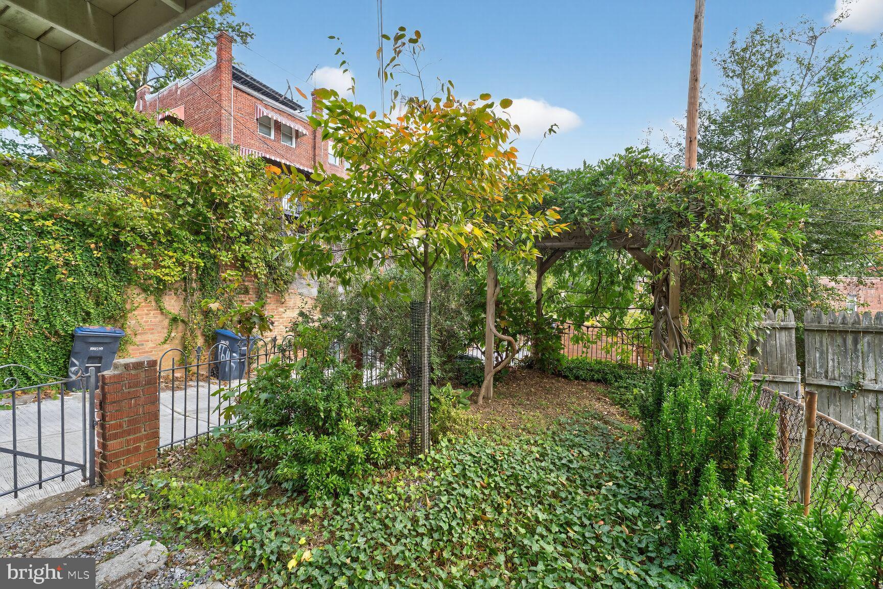 3910 R Street Southeast Washington, DC 20020 - Photo 22 of 24 Lush garden retreat with charming greenery.