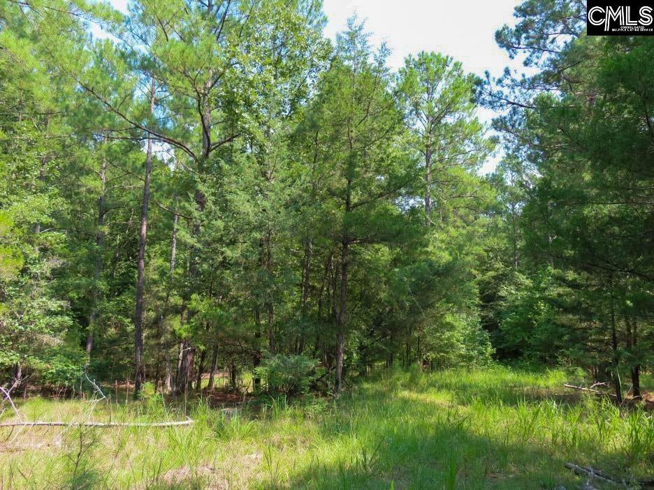 0 Landis Road Winnsboro, SC 29180 - Photo 50 of 83 Gallery Image 50