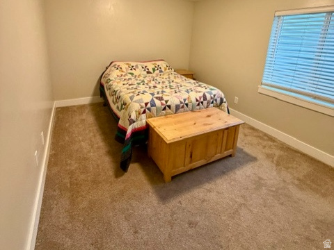 37 East 700 North, Unit 11 Mapleton, UT 84664 - Photo 21 of 31 Large basement bedrooms