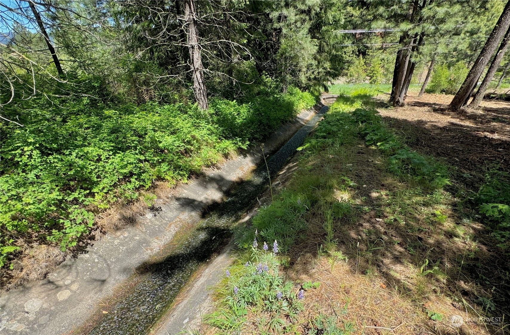 6800 Upper Peoh Point Road Cle Elum, WA 98922 - Photo 15 of 18 Gallery Image 15