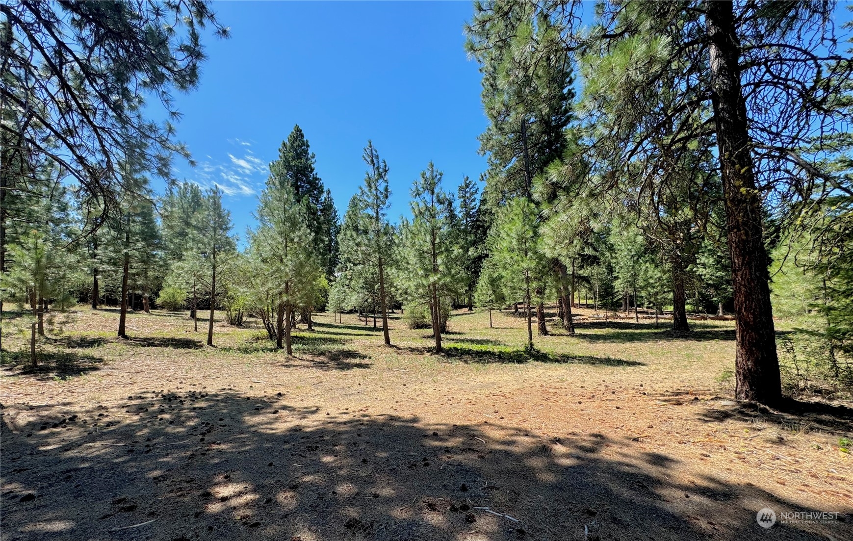 6800 Upper Peoh Point Road Cle Elum, WA 98922 - Photo 3 of 18 Gallery Image 3