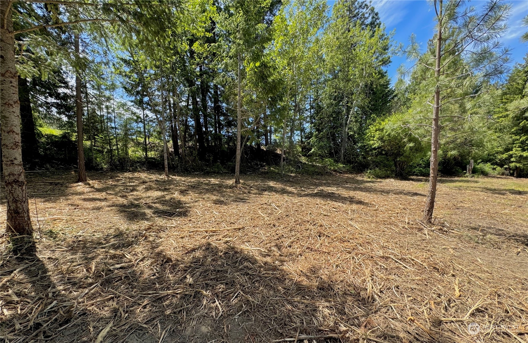 6800 Upper Peoh Point Road Cle Elum, WA 98922 - Photo 4 of 18 Gallery Image 4