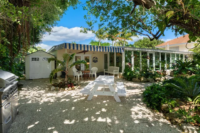 a view of a yard with plants and large trees