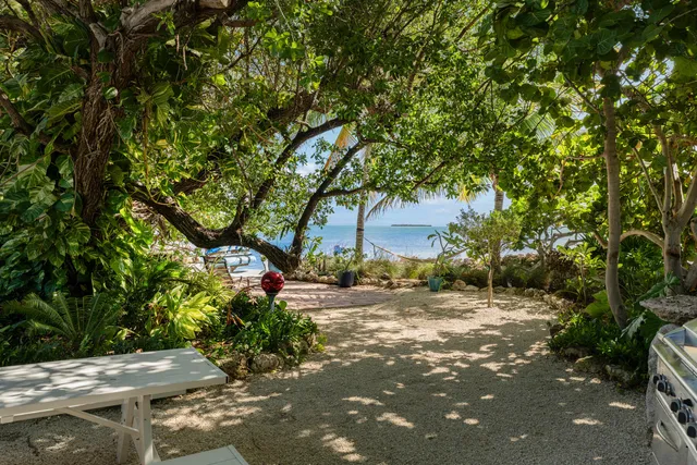 a view of a house with potted plants