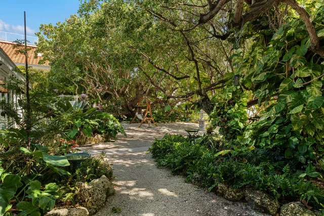 a view of a tree in a yard
