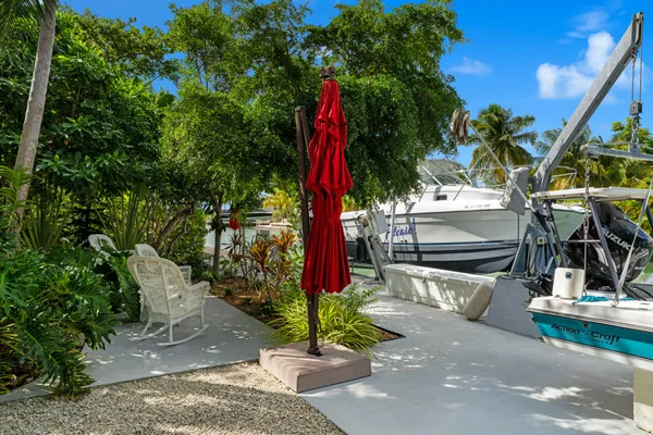 a view of a yard with plants and a fountain