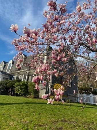 210 Beverly Road Brookline, MA 02467 - Photo 30 of 32 Gallery Image 30