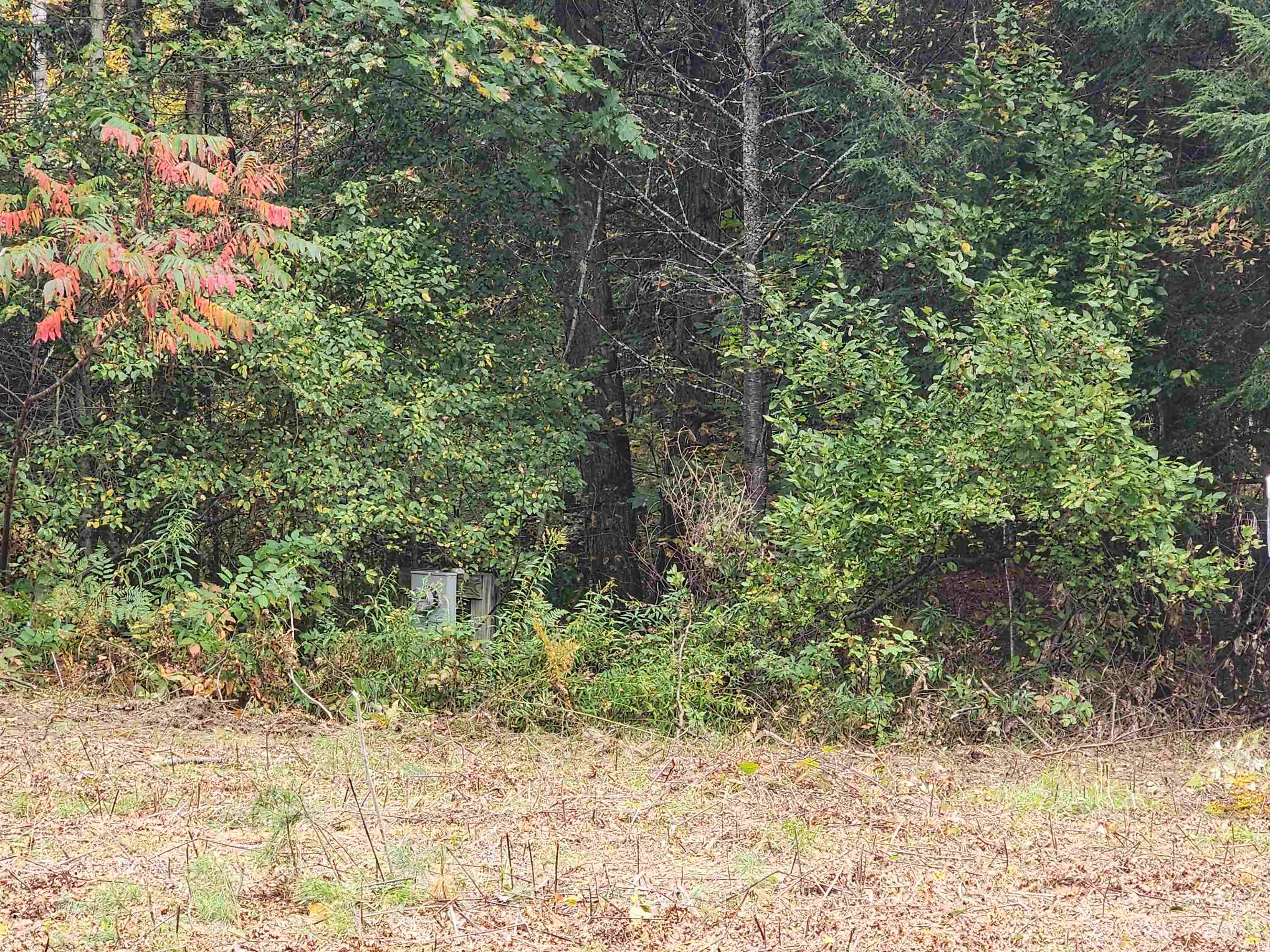 Mac's Way, Unit 11 Fairlee, VT 05045 - Photo 3 of 5 Gallery Image 3