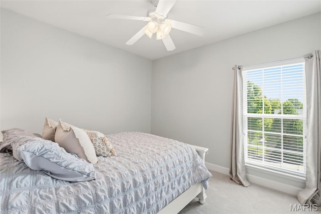 301 Red Wing Court Troy, MO 63379 - Photo 37 of 65