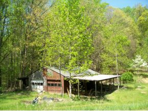 4541 Dry Hill Road Butler, TN 37640 - Photo 7 of 9 Photo 7