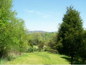 4541 Dry Hill Road Butler, TN 37640 - Photo 9 of 9 Photo 9