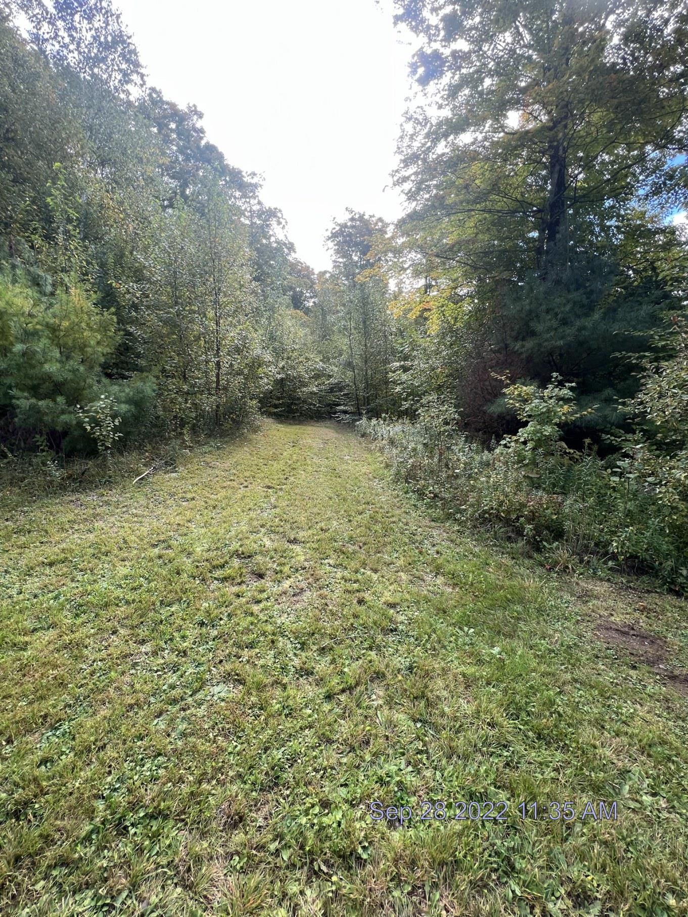 722 Andover Ridge Road Andover, VT 05143 - Photo 5 of 7